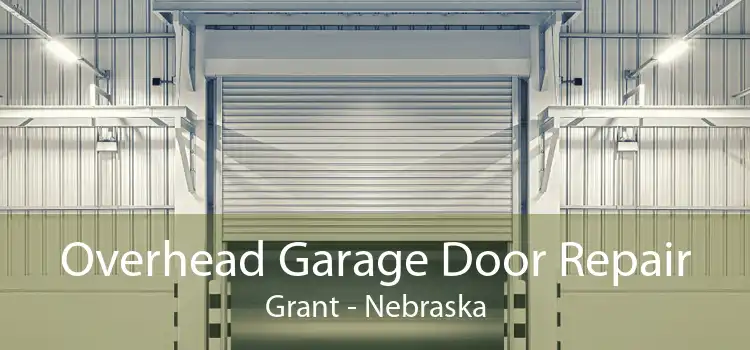 Overhead Garage Door Repair Grant - Nebraska