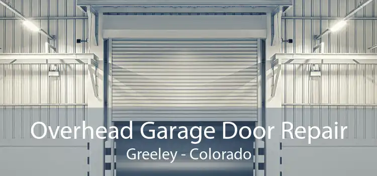 Overhead Garage Door Repair Greeley - Colorado
