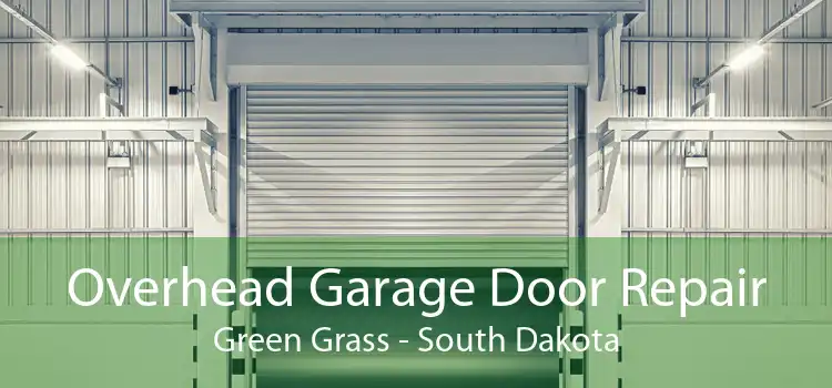 Overhead Garage Door Repair Green Grass - South Dakota