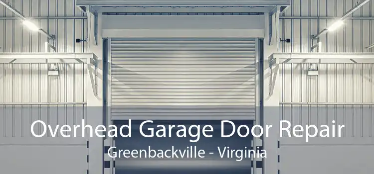 Overhead Garage Door Repair Greenbackville - Virginia