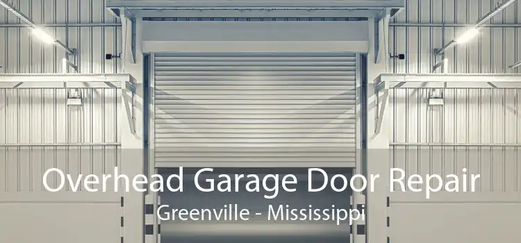 Overhead Garage Door Repair Greenville - Mississippi