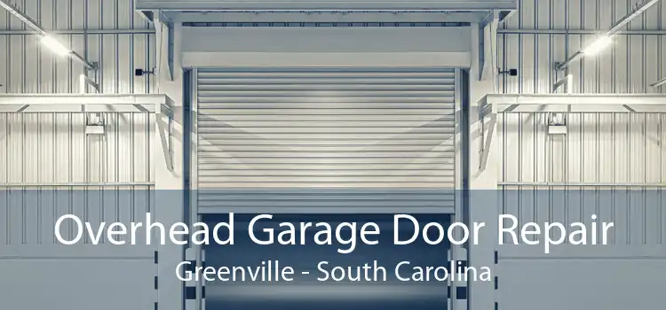 Overhead Garage Door Repair Greenville - South Carolina
