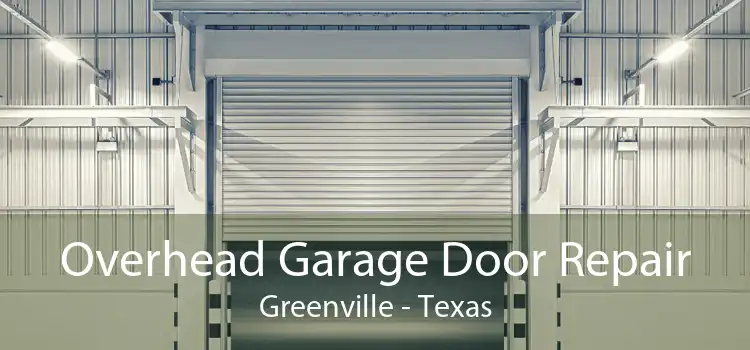 Overhead Garage Door Repair Greenville - Texas