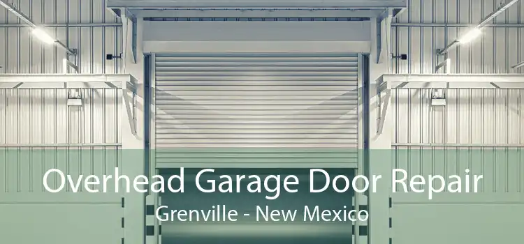 Overhead Garage Door Repair Grenville - New Mexico