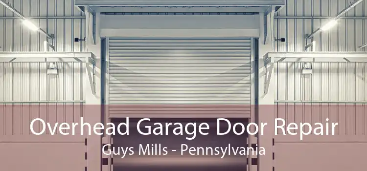 Overhead Garage Door Repair Guys Mills - Pennsylvania