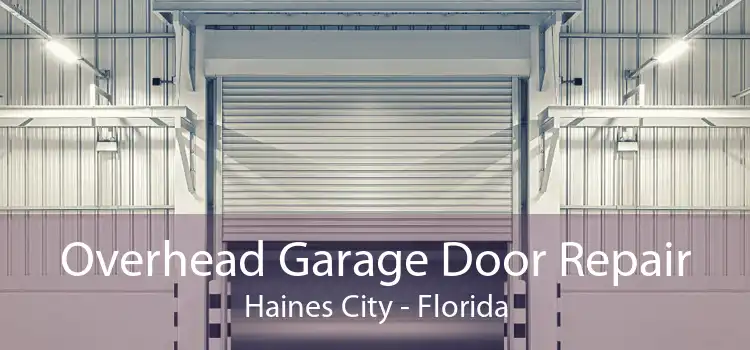 Overhead Garage Door Repair Haines City - Florida