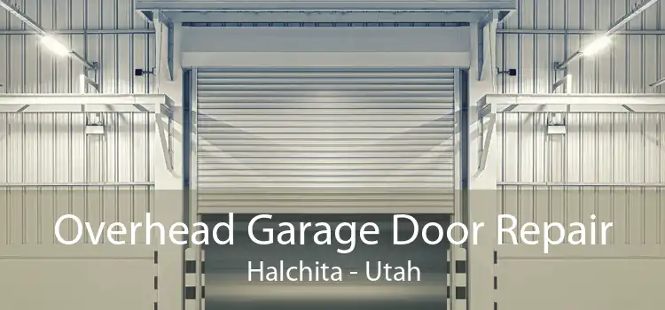 Overhead Garage Door Repair Halchita - Utah