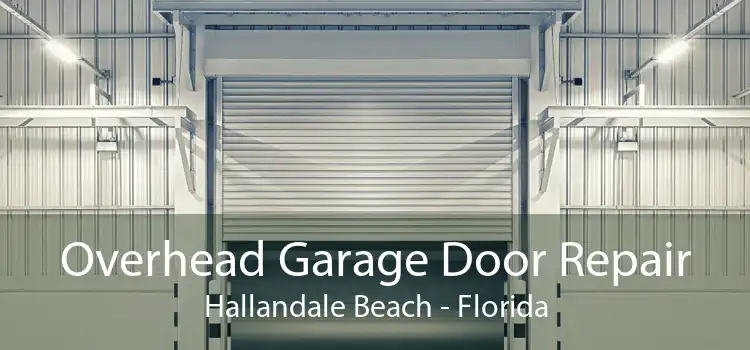 Overhead Garage Door Repair Hallandale Beach - Florida