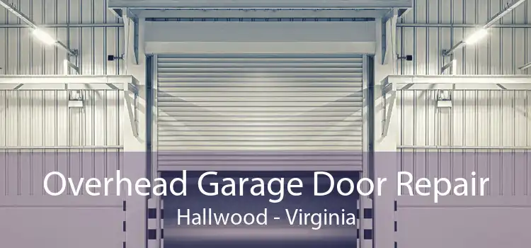Overhead Garage Door Repair Hallwood - Virginia