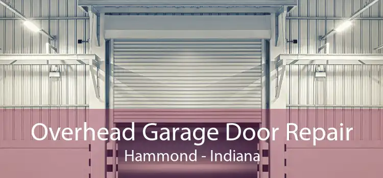 Overhead Garage Door Repair Hammond - Indiana