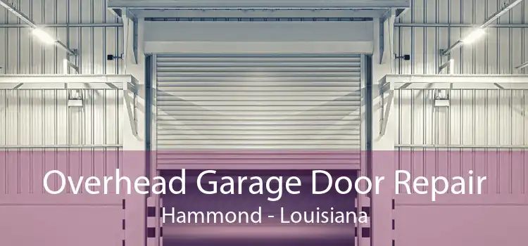 Overhead Garage Door Repair Hammond - Louisiana