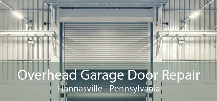 Overhead Garage Door Repair Hannasville - Pennsylvania