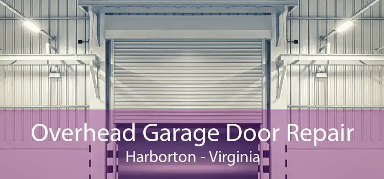 Overhead Garage Door Repair Harborton - Virginia