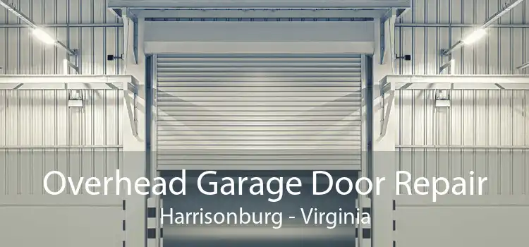Overhead Garage Door Repair Harrisonburg - Virginia