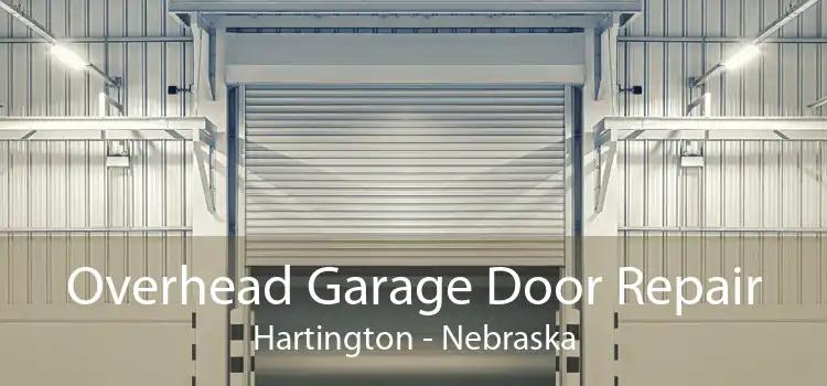 Overhead Garage Door Repair Hartington - Nebraska