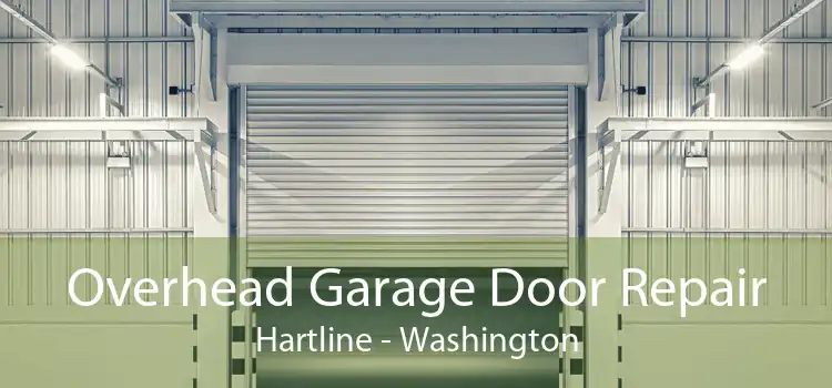 Overhead Garage Door Repair Hartline - Washington