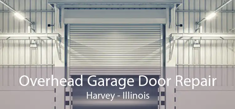 Overhead Garage Door Repair Harvey - Illinois