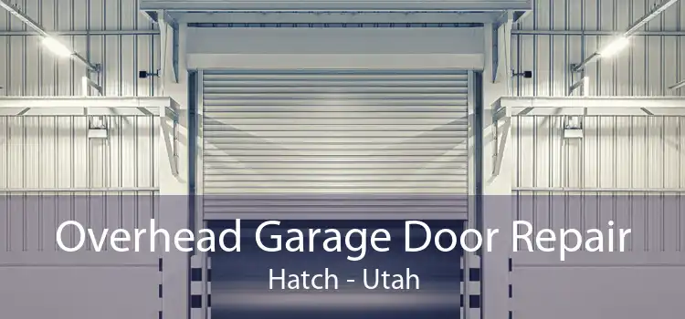 Overhead Garage Door Repair Hatch - Utah