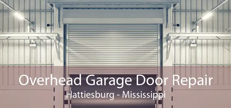 Overhead Garage Door Repair Hattiesburg - Mississippi