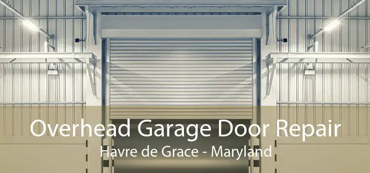 Overhead Garage Door Repair Havre de Grace - Maryland