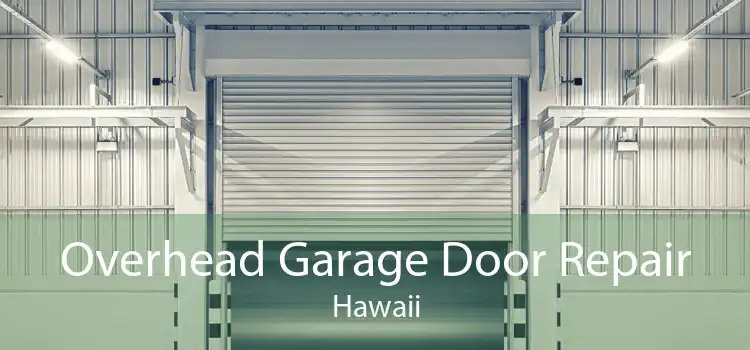 Overhead Garage Door Repair Hawaii