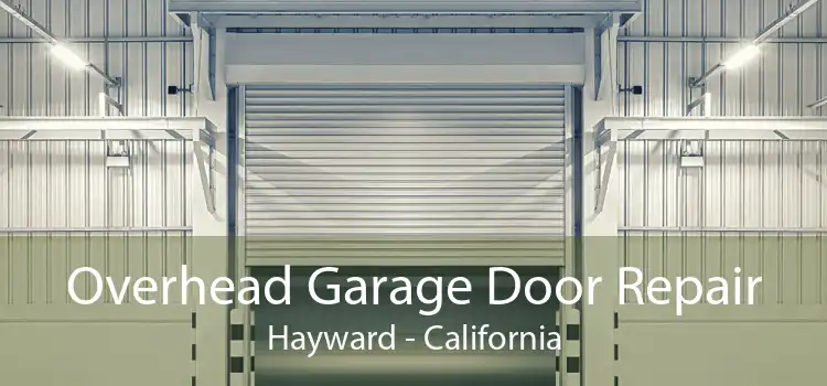Overhead Garage Door Repair Hayward - California