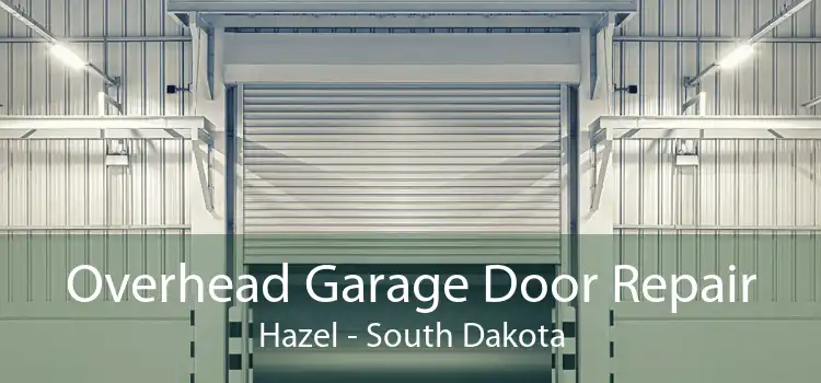 Overhead Garage Door Repair Hazel - South Dakota
