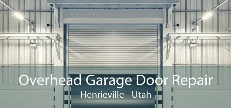 Overhead Garage Door Repair Henrieville - Utah