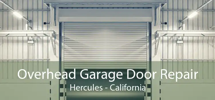 Overhead Garage Door Repair Hercules - California