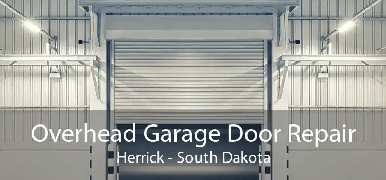 Overhead Garage Door Repair Herrick - South Dakota