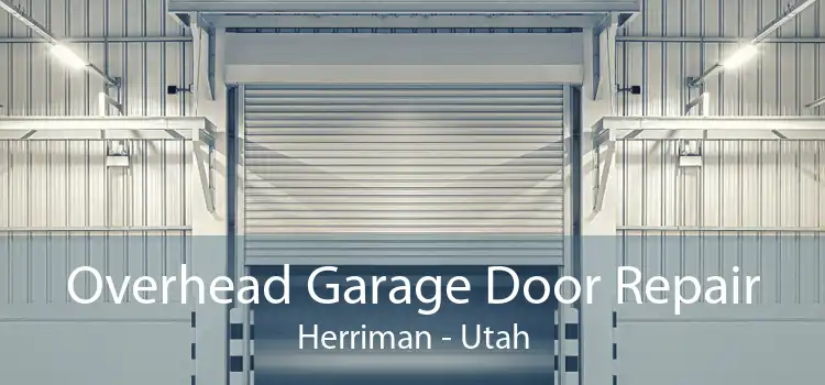 Overhead Garage Door Repair Herriman - Utah