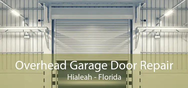 Overhead Garage Door Repair Hialeah - Florida