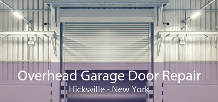 Overhead Garage Door Repair Hicksville - New York