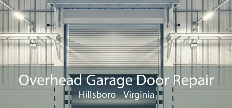 Overhead Garage Door Repair Hillsboro - Virginia