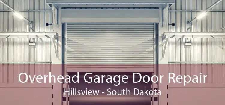 Overhead Garage Door Repair Hillsview - South Dakota