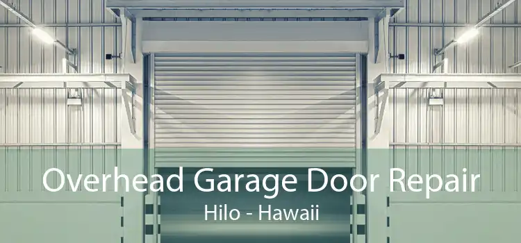 Overhead Garage Door Repair Hilo - Hawaii