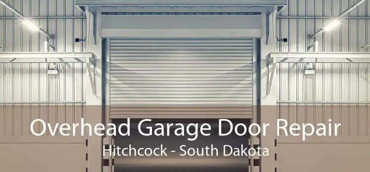 Overhead Garage Door Repair Hitchcock - South Dakota