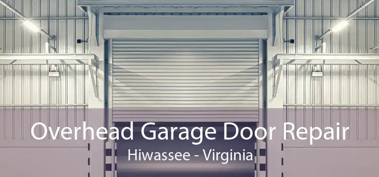 Overhead Garage Door Repair Hiwassee - Virginia