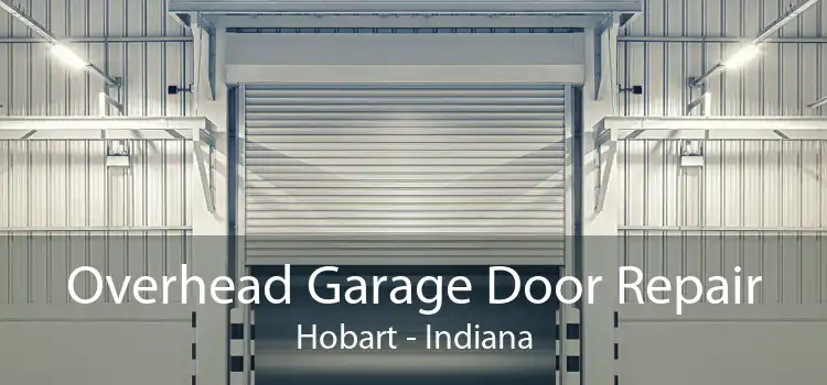 Overhead Garage Door Repair Hobart - Indiana