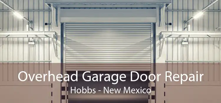 Overhead Garage Door Repair Hobbs - New Mexico