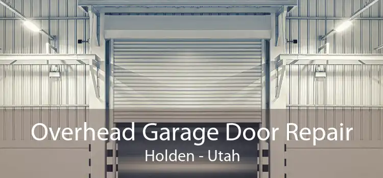Overhead Garage Door Repair Holden - Utah