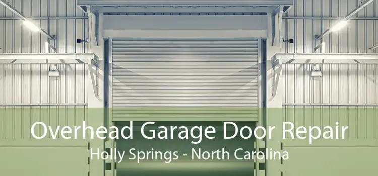 Overhead Garage Door Repair Holly Springs - North Carolina