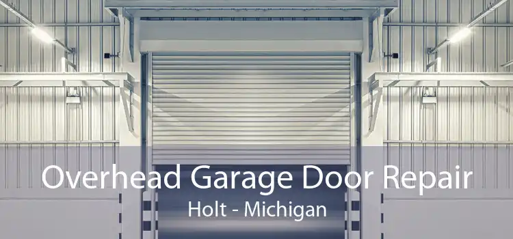 Overhead Garage Door Repair Holt - Michigan