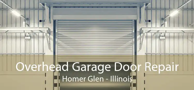 Overhead Garage Door Repair Homer Glen - Illinois