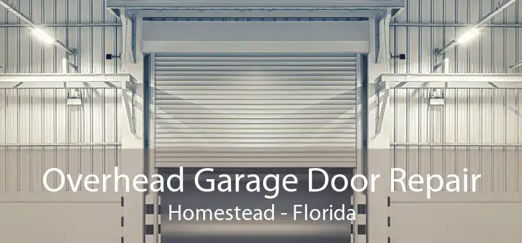 Overhead Garage Door Repair Homestead - Florida