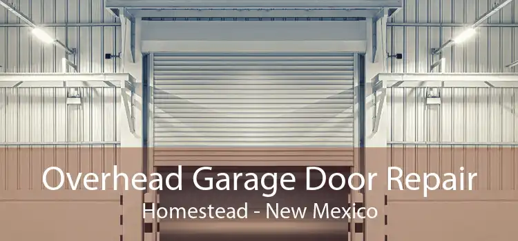 Overhead Garage Door Repair Homestead - New Mexico
