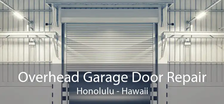 Overhead Garage Door Repair Honolulu - Hawaii