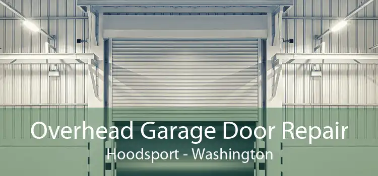 Overhead Garage Door Repair Hoodsport - Washington