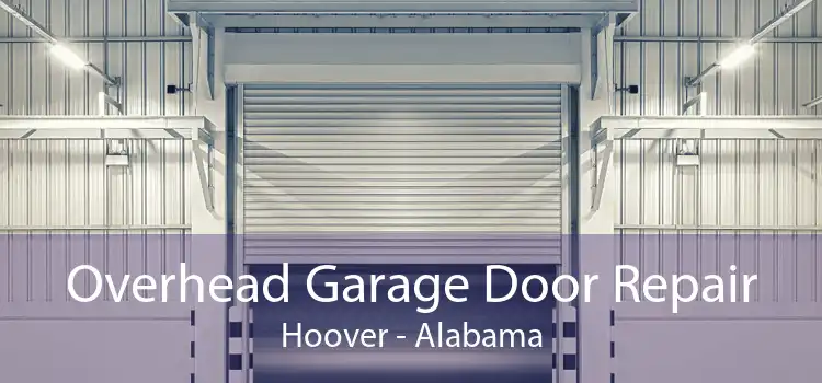Overhead Garage Door Repair Hoover - Alabama