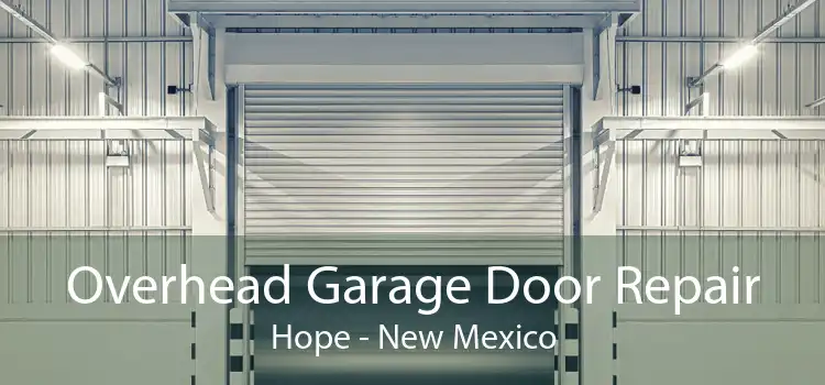 Overhead Garage Door Repair Hope - New Mexico